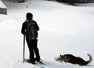 Contemplando el paisaje junto al perro